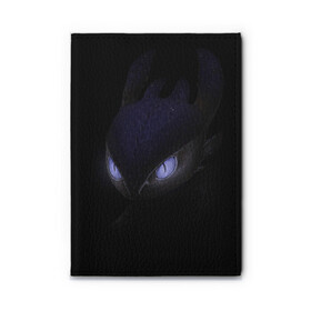 Обложка для автодокументов Как приручить дракона: в Ижевске, натуральная кожа |  размер 19,9*13 см; внутри 4 больших “конверта” для документов и один маленький отдел — туда идеально встанут права | детский мультфильм | детям | для детей | дракон | как приручить дракона | мультик | мультфильм