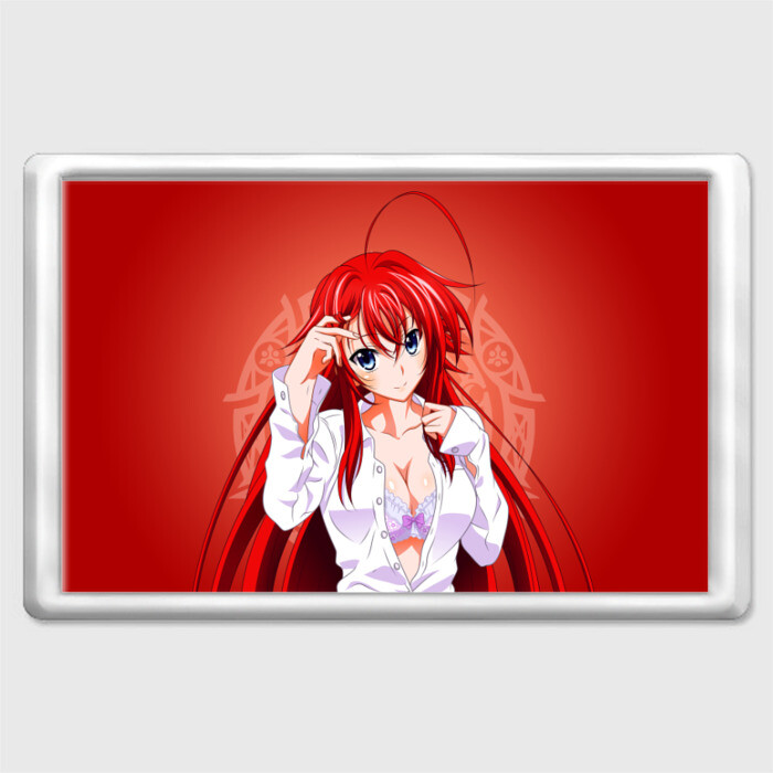Магнит 45*70 High School DxD, Риас фото